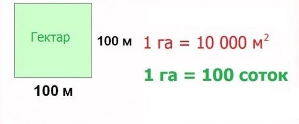 размер одно гектарной области